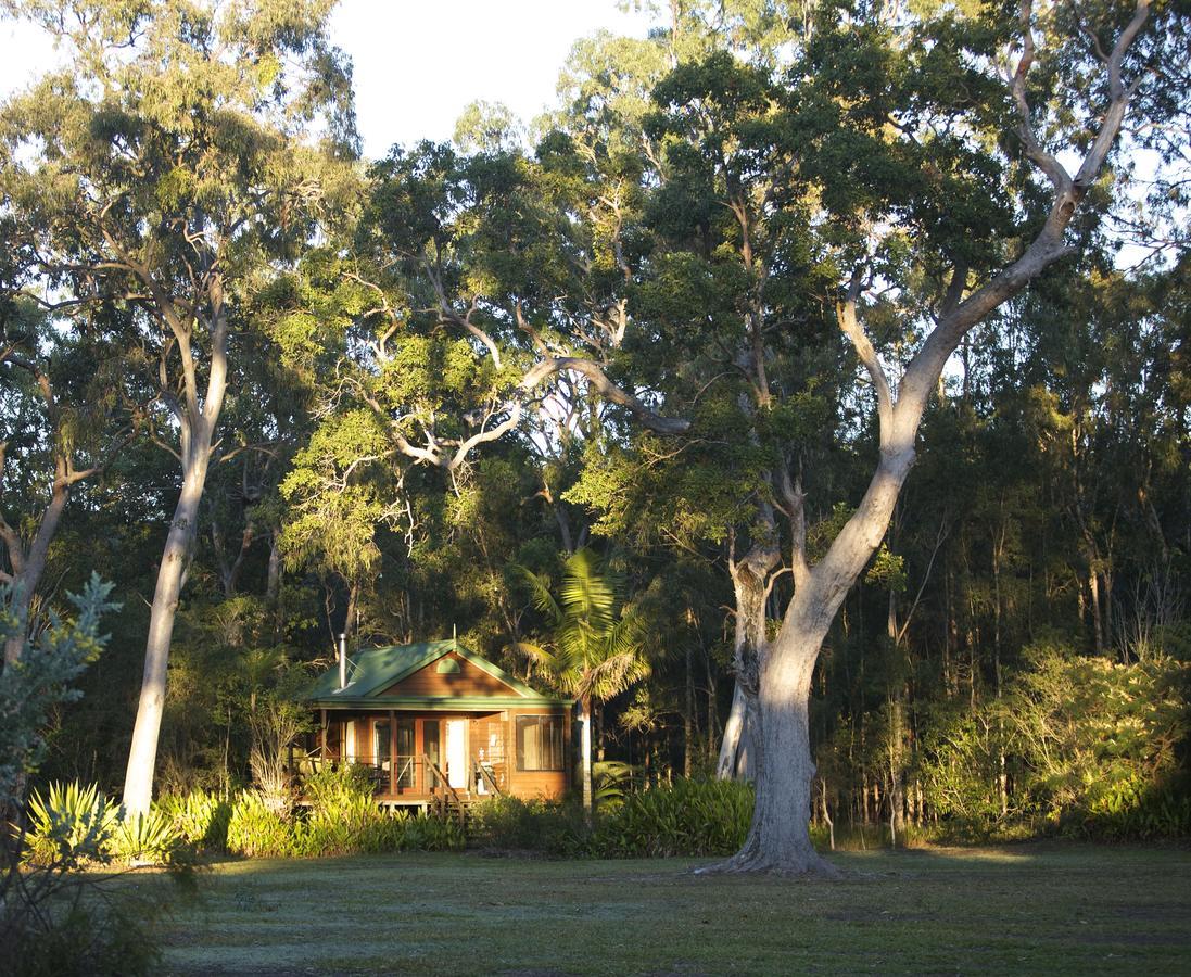 פרגיאן ביץ' Lake Weyba Cottages Noosa מראה חיצוני תמונה